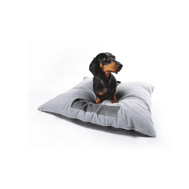 Archibald Paris, accessoires pour chiens