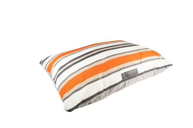 coussin chien biaritz
