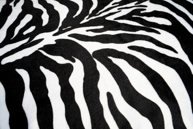 coussin chien zebre