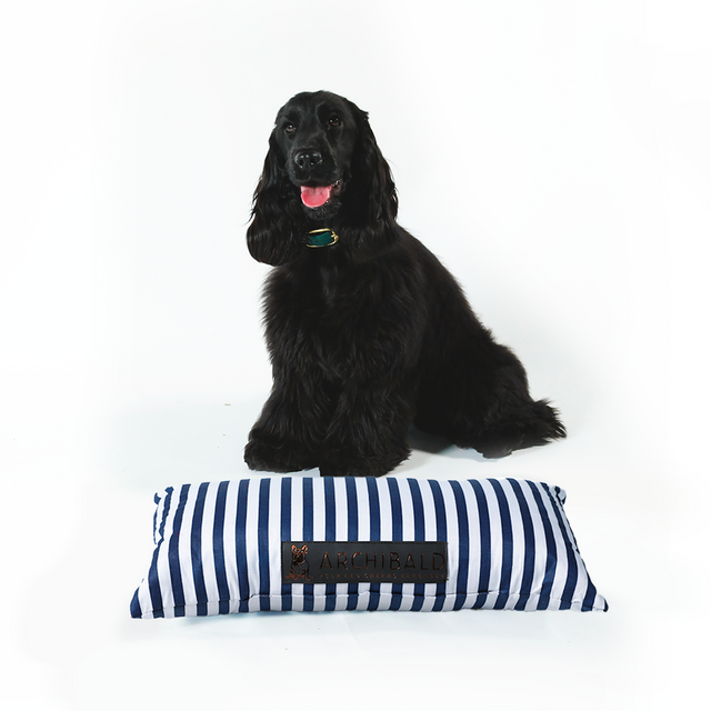 Traversin pour chien Normandie