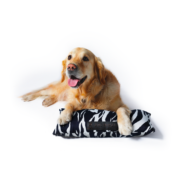 Traversin pour chien Pacifique