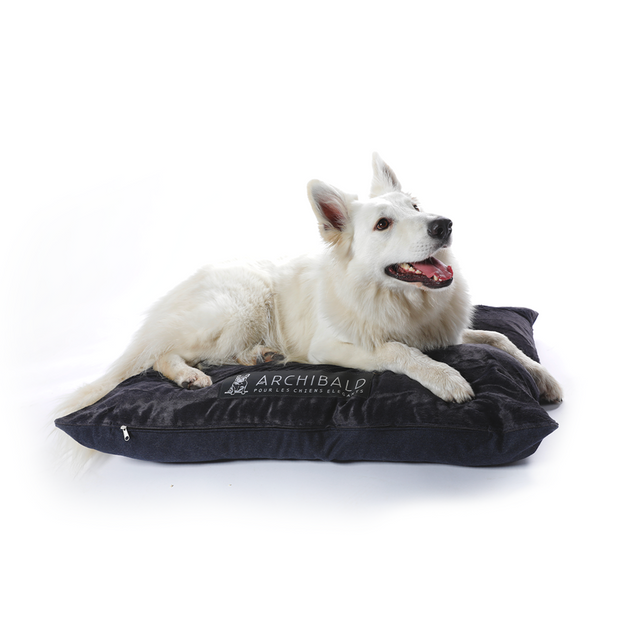 Coussin pour chien Saint Germain