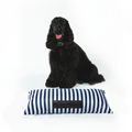 Traversin pour chien Normandie